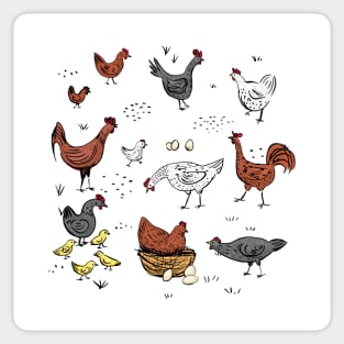 Cute Doodle Chickens Sticker